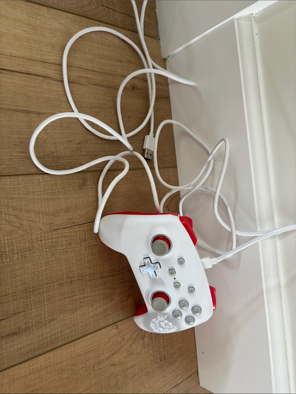 Mario and Pokémon controller